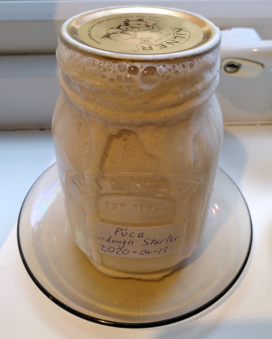 lively sourdough starter